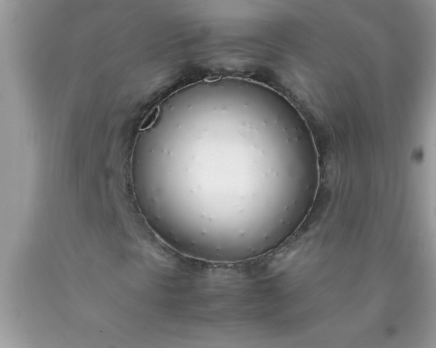 X0000090451297200707272207