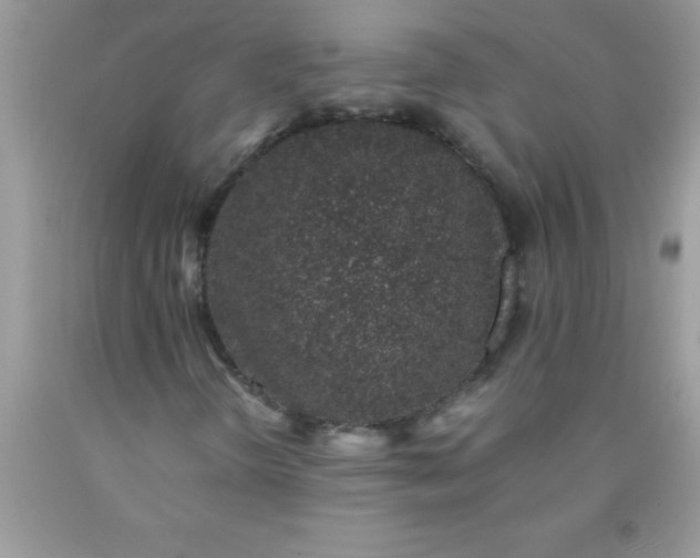 X0000090451298200707272207