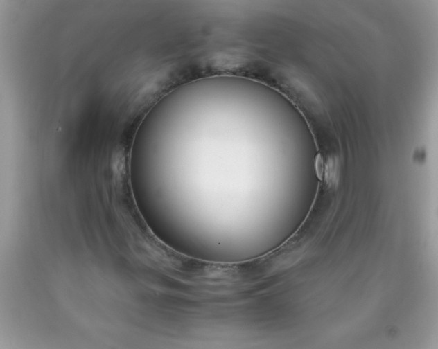 X0000090451299200707272207