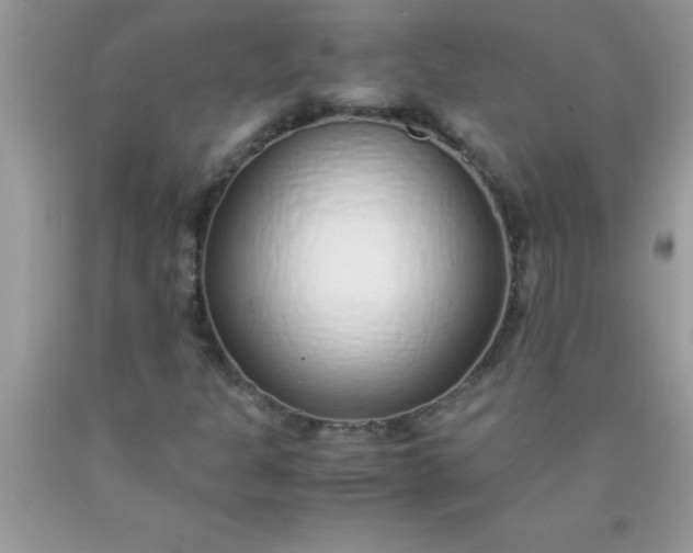 X0000090451301200707272207