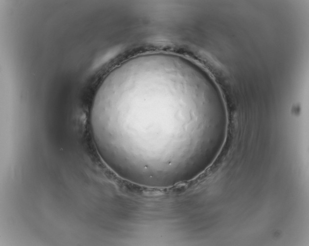 X0000090451302200707272207