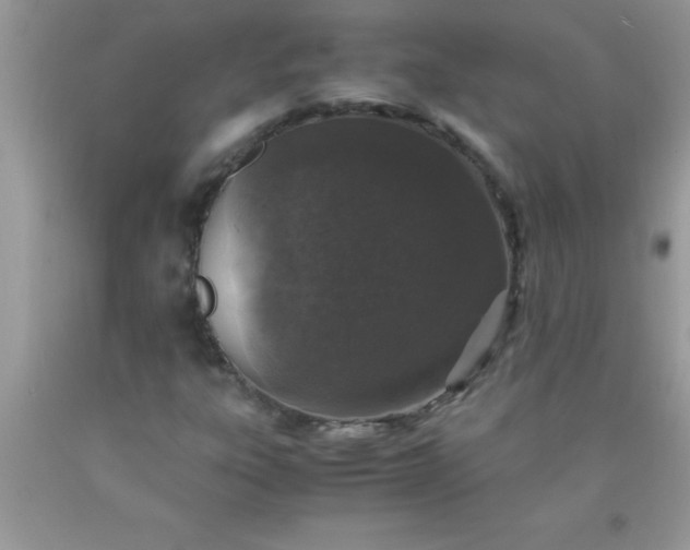 X0000090451303200707272207