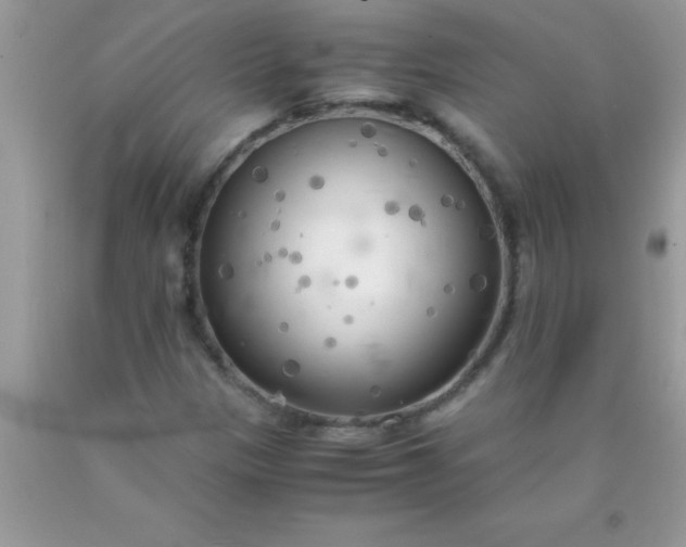 X0000090451305200707272207