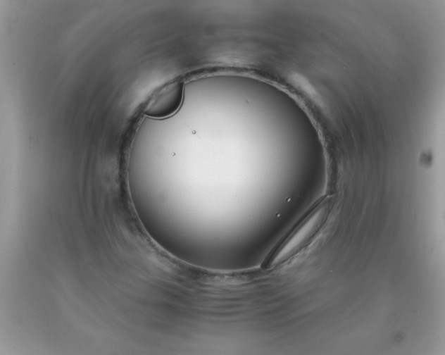 X0000090451307200707272207