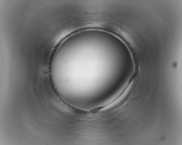 X0000090451308200707272207