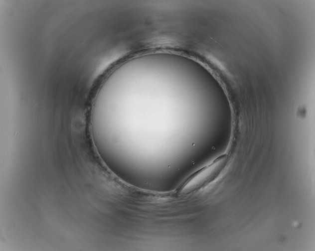 X0000090451309200707272207