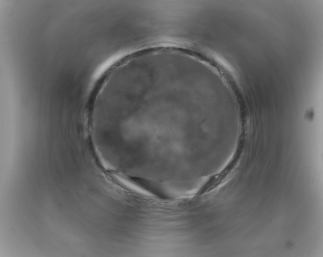 X0000090451310200707272207