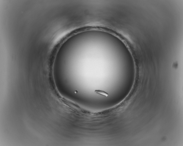 X0000090451311200707272207