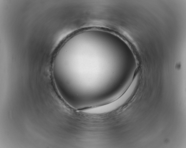 X0000090451312200707272207