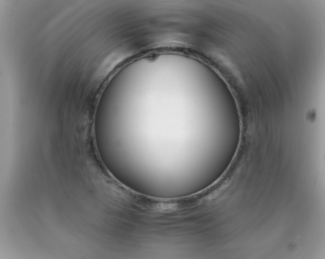 X0000090451313200707272207