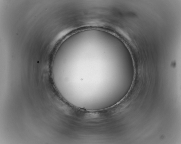 X0000090451315200707272207