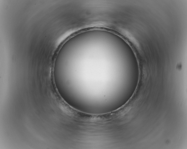 X0000090451316200707272207