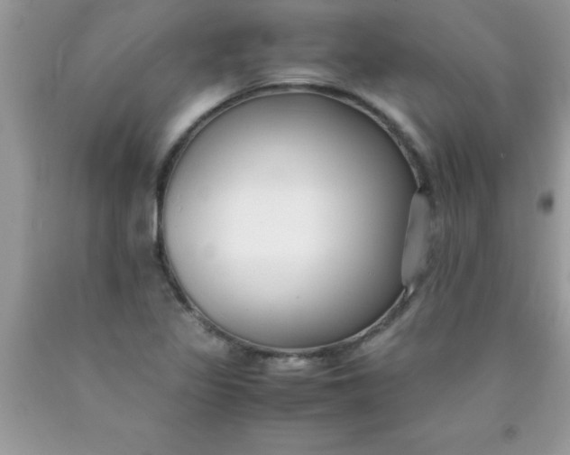 X0000090451317200707272207