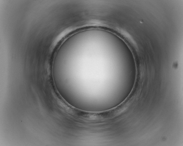 X0000090451318200707272207