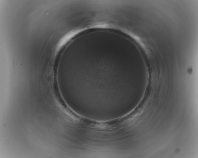 X0000090451319200707272207