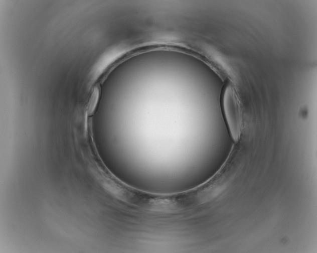 X0000090451320200707272207