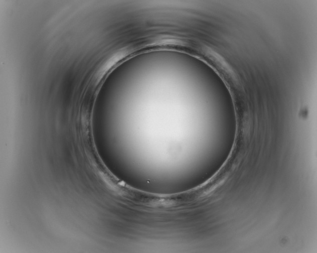 X0000090451321200707272207