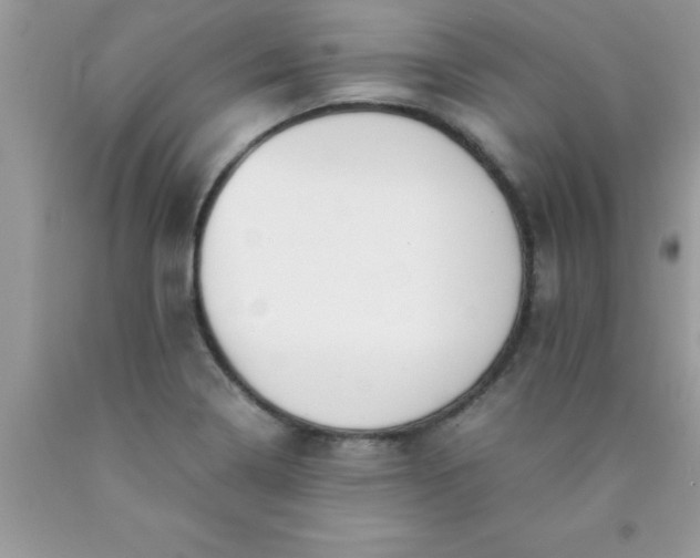 X0000090451322200707272207