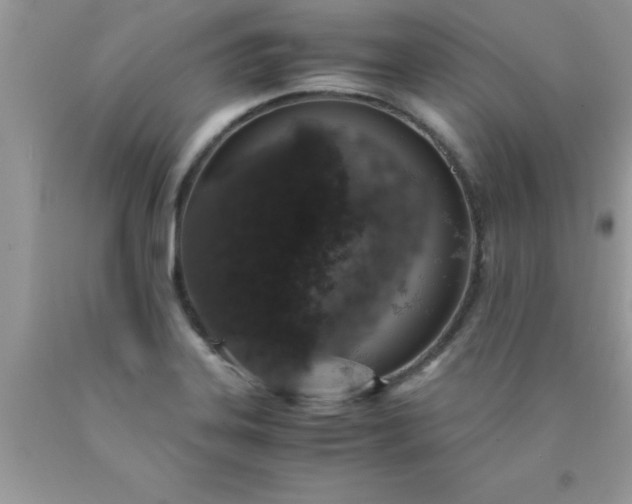 X0000090451323200707272207