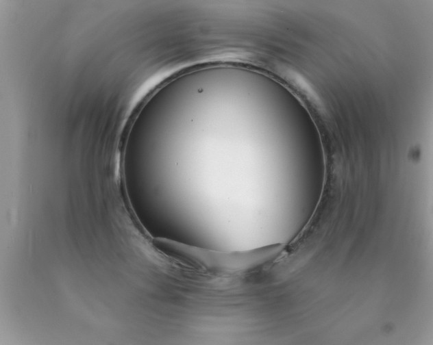 X0000090451324200707272207