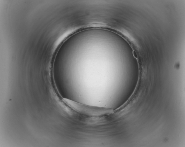 X0000090451325200707272207