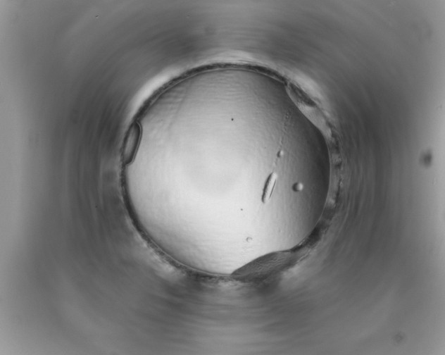 X0000090451326200707272207