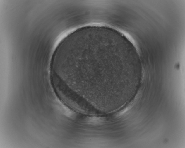 X0000090451327200707272207