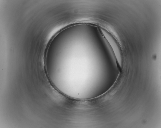 X0000090451328200707272207