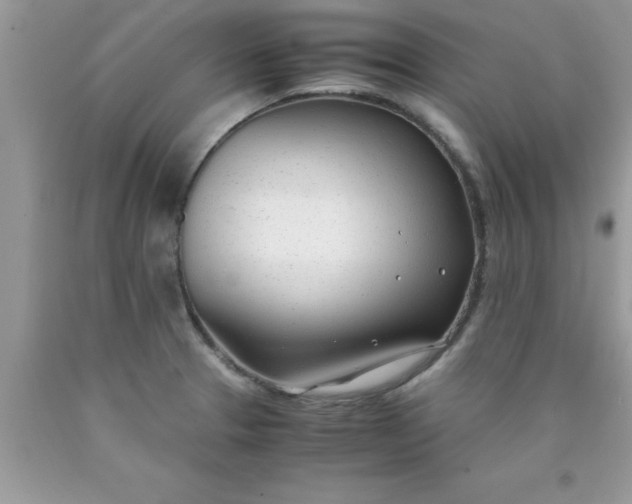 X0000090451329200707272207