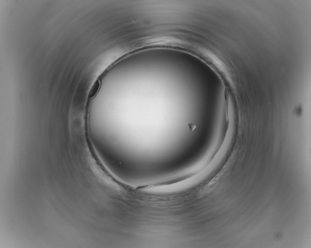 X0000090451330200707272207