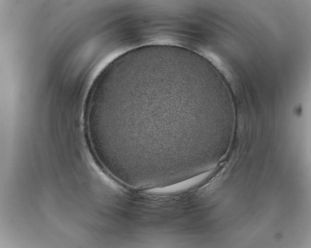 X0000090451331200707272207