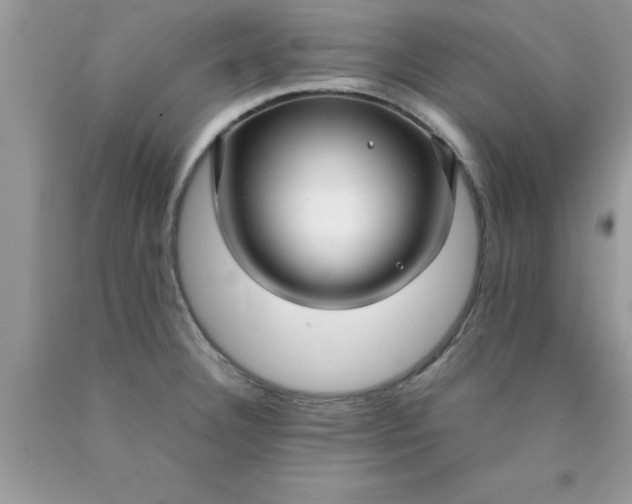 X0000090451332200707272207