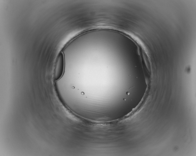 X0000090451333200707272207