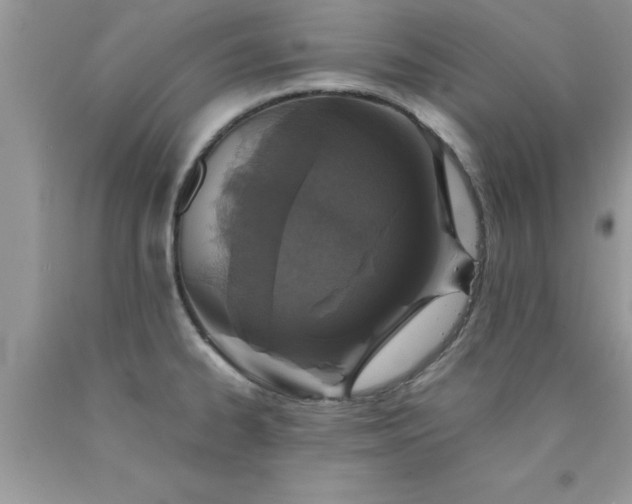 X0000090451334200707272207