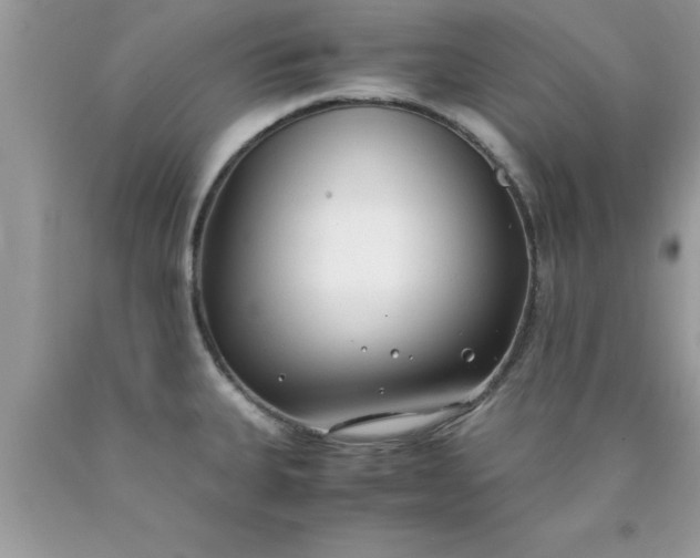 X0000090451335200707272207