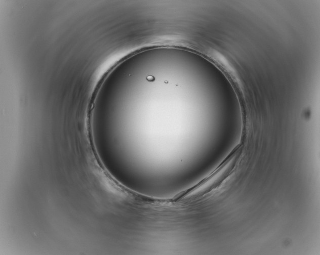 X0000090451336200707272207