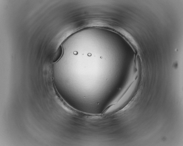 X0000090451337200707272207