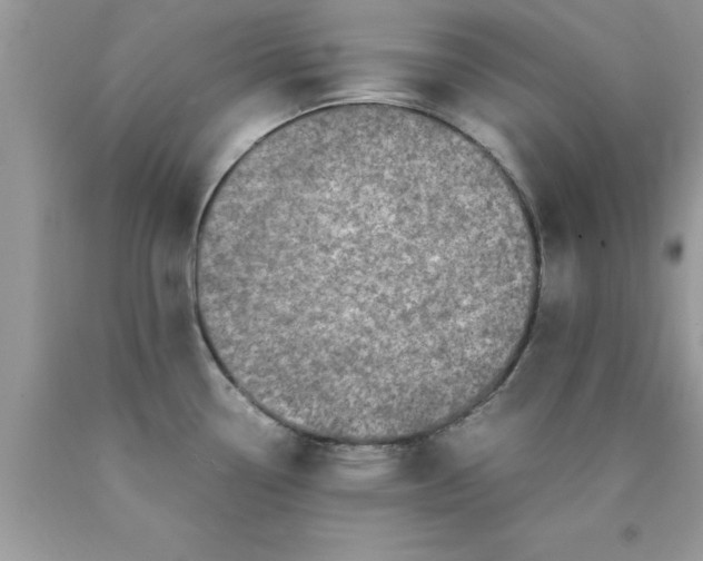 X0000090451338200707272207