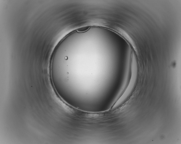 X0000090451339200707272207