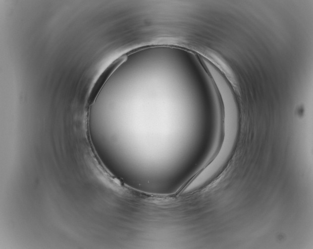 X0000090451340200707272208