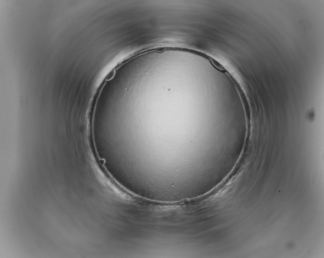 X0000090451341200707272208