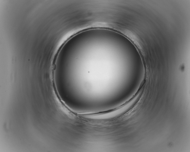 X0000090451342200707272208