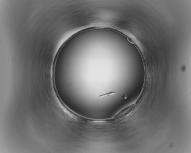 X0000090451343200707272208