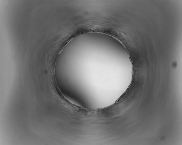 X0000090451345200707272207