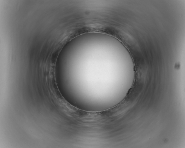 X0000090451346200707272207