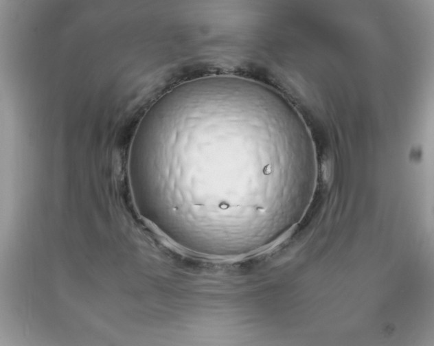 X0000090451347200707272207