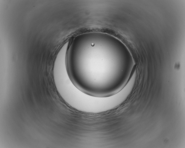 X0000090451348200707272207