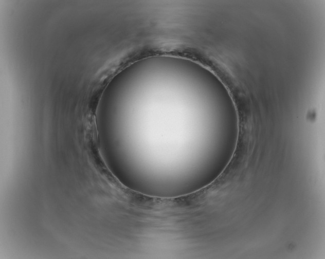 X0000090451349200707272207