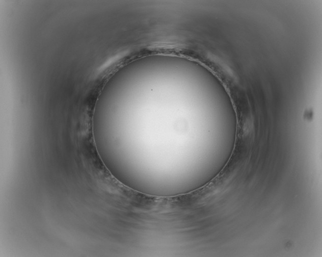 X0000090451350200707272207