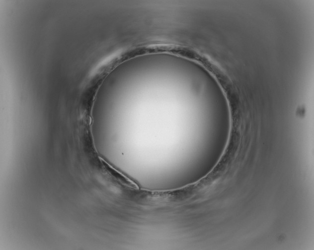 X0000090451351200707272207